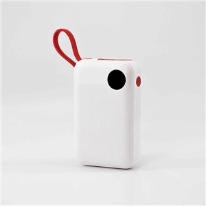 Kingmaster Dual USB Output 10000mAh Smartphone High Capacity Battery Power Bank