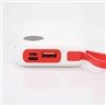 /uploads/202133482/small/power-bank-with-double-cable22160492059.jpg
